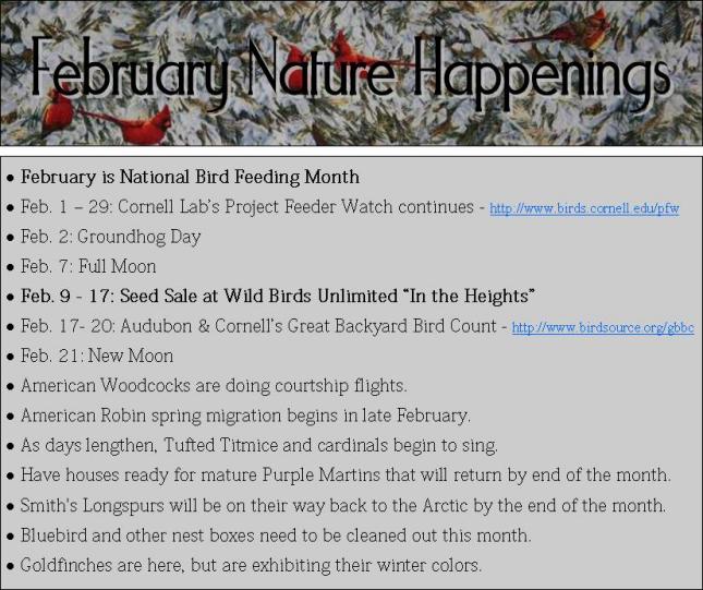 Feb Happenings