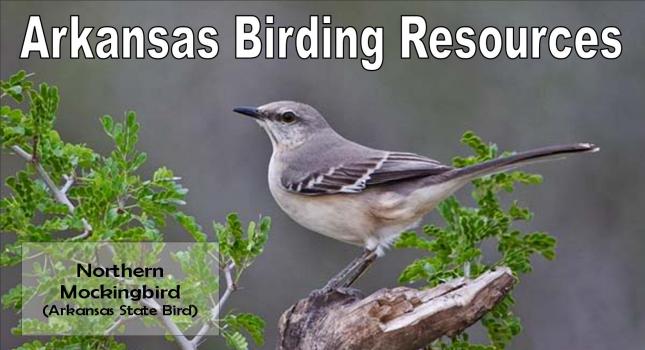 AR Birding Resources AR Birding Resources