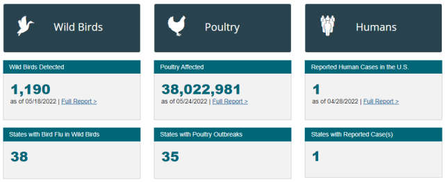 Avian Flu Stats 5-25-22