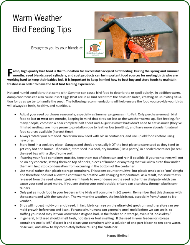 Warm Weather Bird Feeding Tips