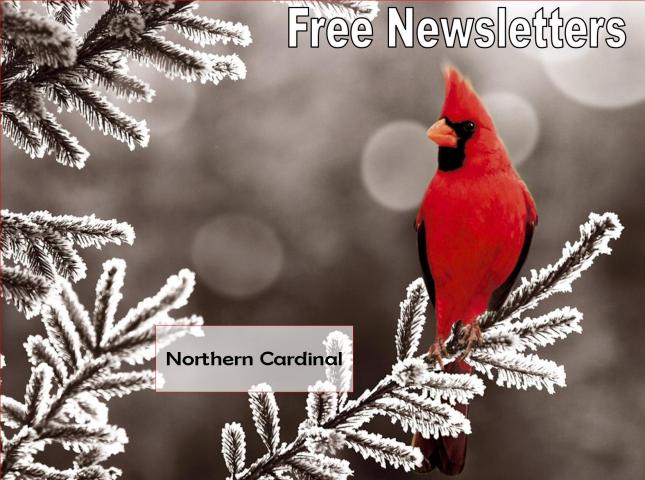 Free Newsletters Free Newsletters